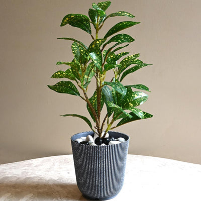 Ribbed Charcoal Black Planter Small Pot Set for Indoor Decor | 4 x 5 inches