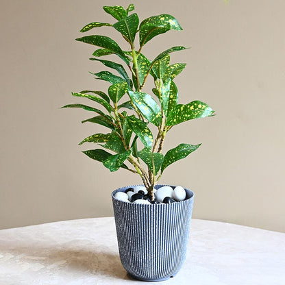 Ribbed Charcoal Black Planter Small Pot Set for Indoor Decor | 4 x 5 inches