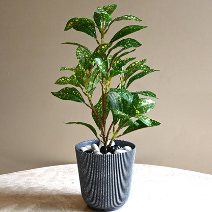 Ribbed Charcoal Black Planter Small Pot Set for Indoor Decor | 4 x 5 inches