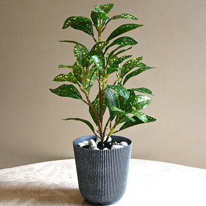 Ribbed Charcoal Black Planter Small Pot Set for Indoor Decor | 4 x 5 inches