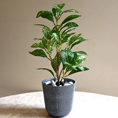 Ribbed Charcoal Black Planter Small Pot Set for Indoor Decor Without Plant | 5 x 6 inches