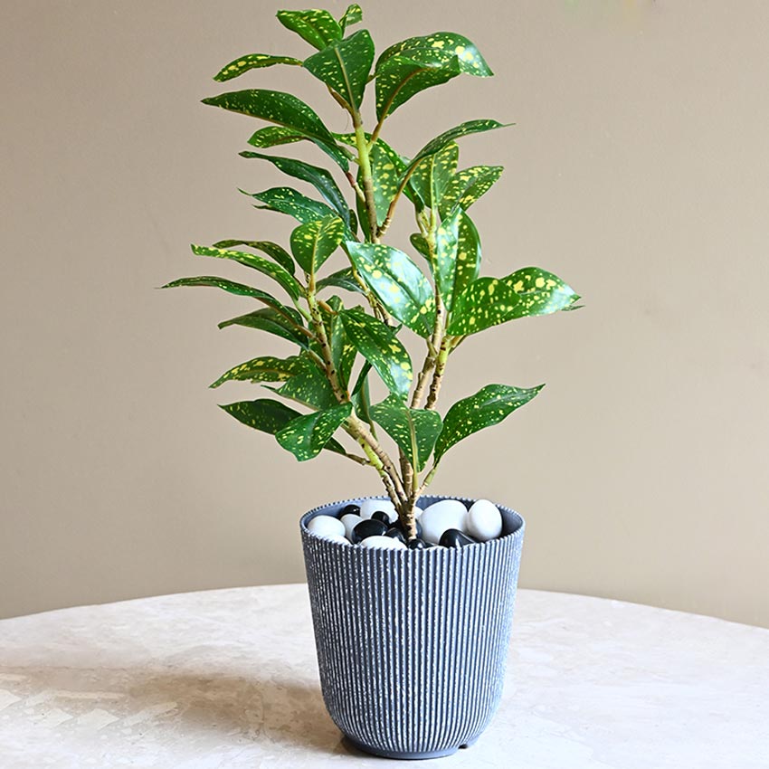 Ribbed Charcoal Black Planter Small Pot Set for Indoor Decor Without Plant | 5 x 6 inches