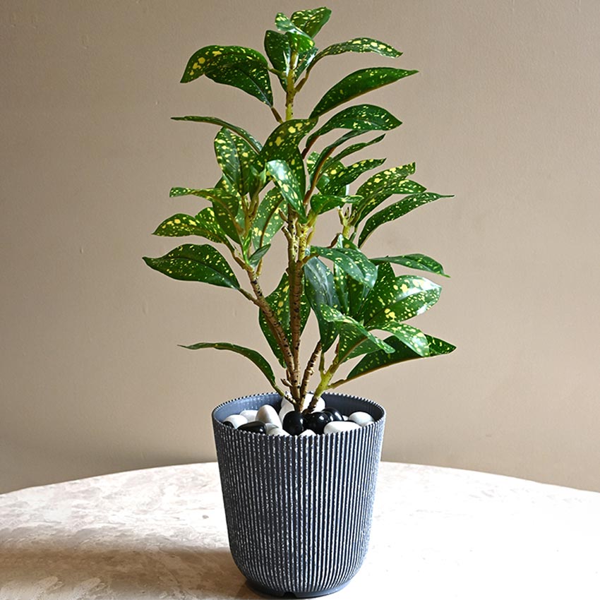 Ribbed Charcoal Black Planter Small Pot Set for Indoor Decor Without Plant | 5 x 6 inches