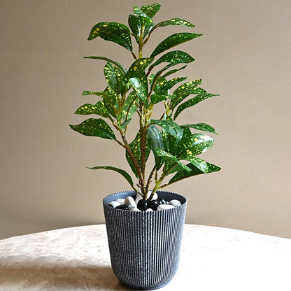 Ribbed Charcoal Black Planter Small Pot Set for Indoor Decor Without Plant | 5 x 6 inches
