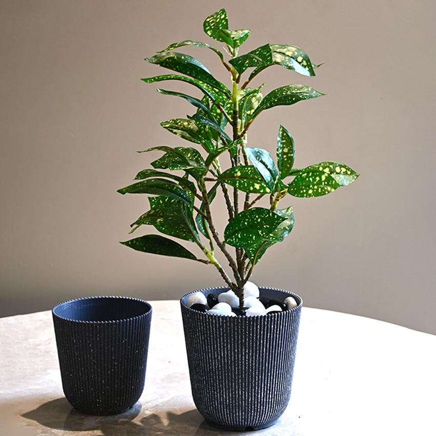 Ribbed Charcoal Black Planter Small Pot Set for Indoor Decor Without Plant | 5 x 6 inches