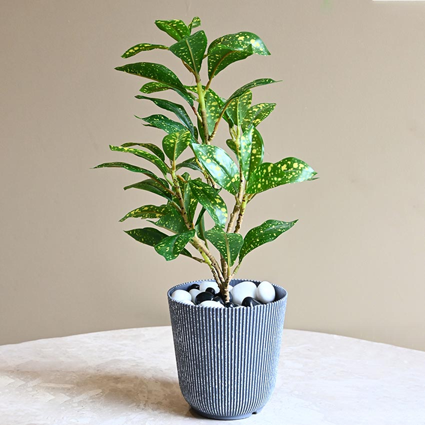 Ribbed Charcoal Black Planter Small Pot Set for Indoor Decor Without Plant | 5 x 6 inches