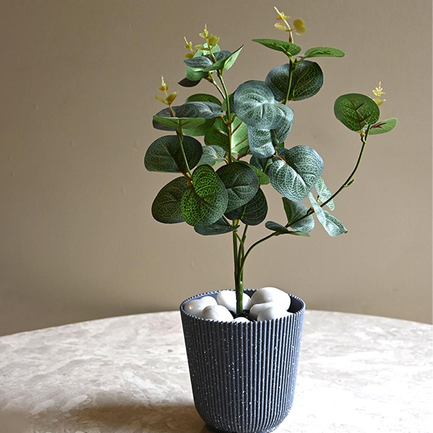 Ribbed Charcoal Black Planter Small Pot Set for Indoor Decor Without Plant | 5 x 6 inches