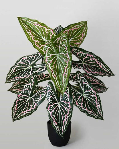 Dazzling Artificial Polyester Caladium Plant With Basic Black Pot | 12 Leaves With Web Pattern | 3 Ft