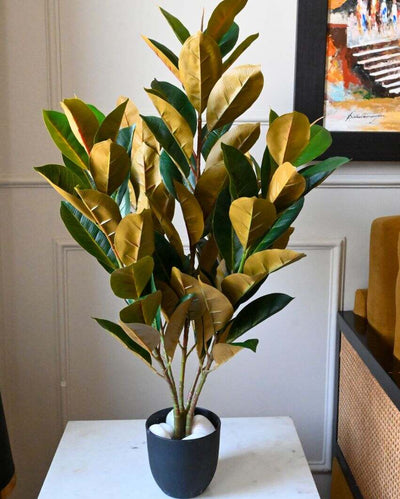 Polyester Rubber Plant With Black Pot | 104 Light Green Leaves | 3 Ft
