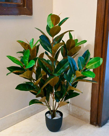 Polyester Rubber Plant With Black Pot | 104 Light Green Leaves | 3 Ft