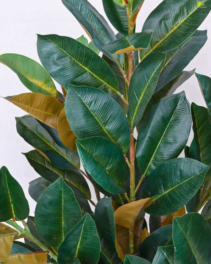Polyester Rubber Plant With Black Pot | 104 Light Green Leaves | 3 Ft