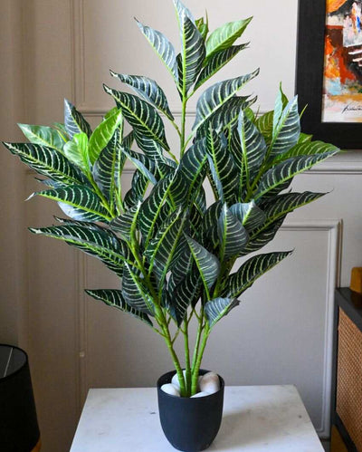 White Veined Polyester Croton Plant With Basic Black Pot | 104 Leaves | 3 Ft