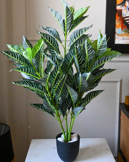 White Veined Polyester Croton Plant With Basic Black Pot | 104 Leaves | 3 Ft