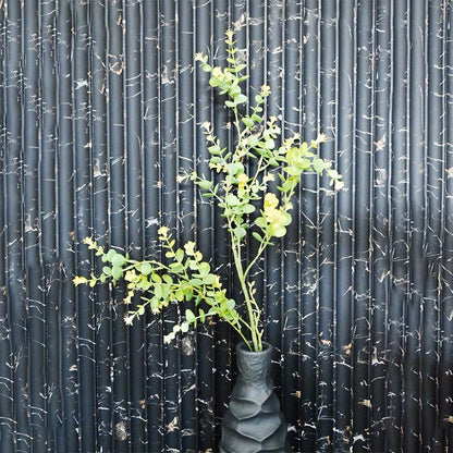 Elegant Minimalist Green Eucalyptus Foliage Branch Without Pot | 3 Feet