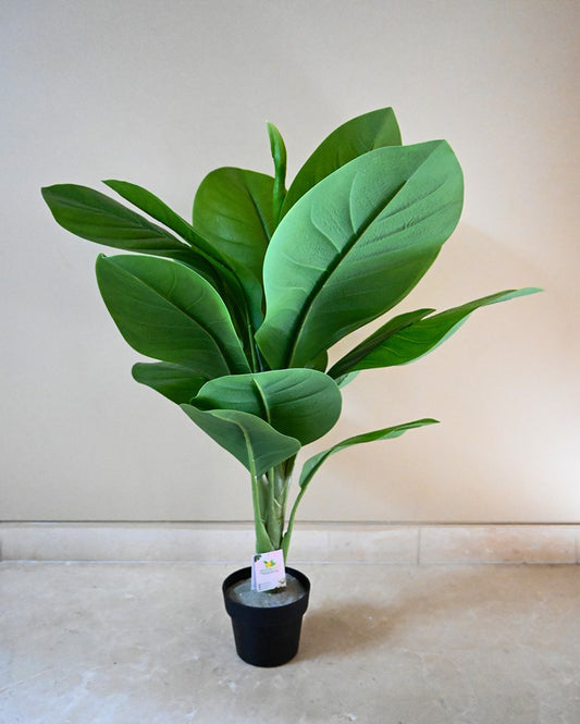 Tropical Artificial Jiamei Tourist Banana Plant with Basic Black Pot | 3 Feet