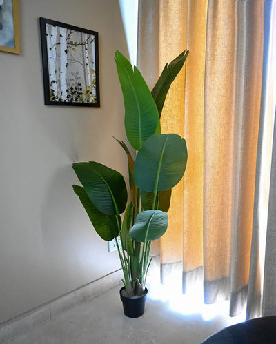 Tall Artificial Banana Plant with Basic Black Pot | 5 Feet