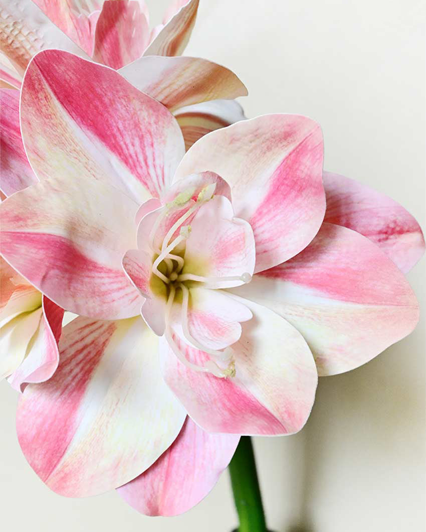 Exotic Artificial Amaryllis Lily Hybrid Bulbs and Realistic Faux Blooms Flower Plant Without Vase | 2 feet