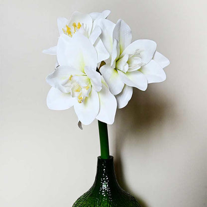 Exotic Artificial Amaryllis Lily Hybrid Bulbs and Realistic Faux Blooms Flower Plant Without Vase | 2 feet