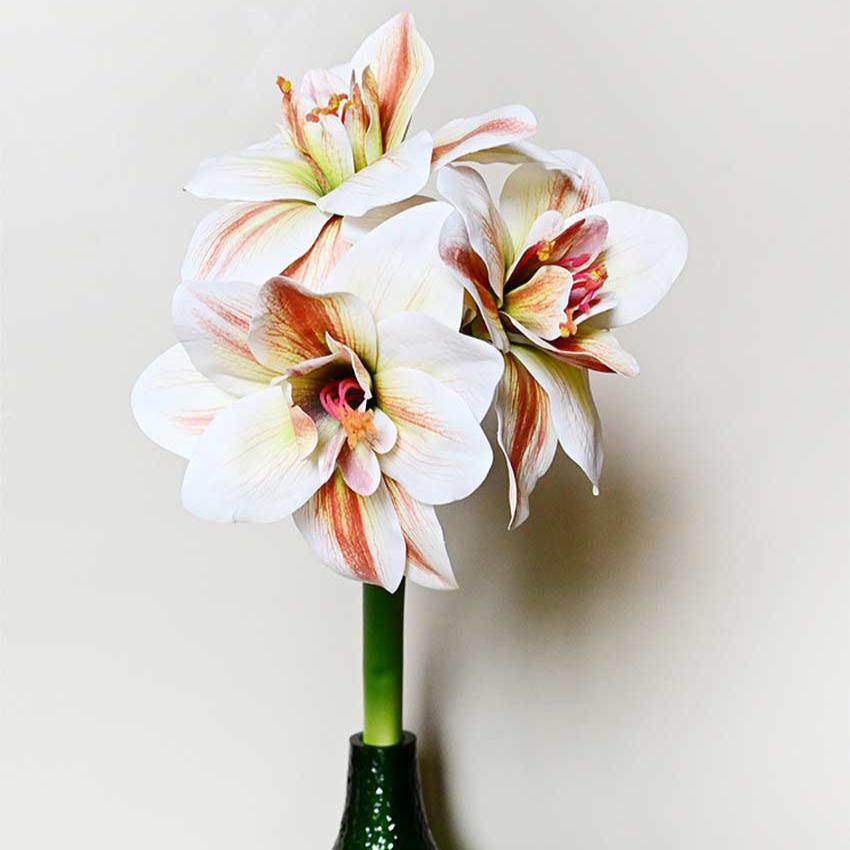 Exotic Artificial Amaryllis Lily Hybrid Bulbs and Realistic Faux Blooms Flower Plant Without Vase | 2 feet