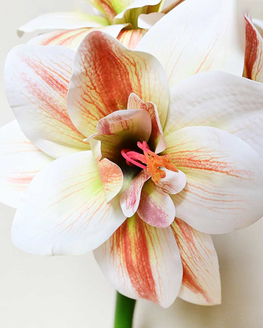 Exotic Artificial Amaryllis Lily Hybrid Bulbs and Realistic Faux Blooms Flower Plant Without Vase | 2 feet