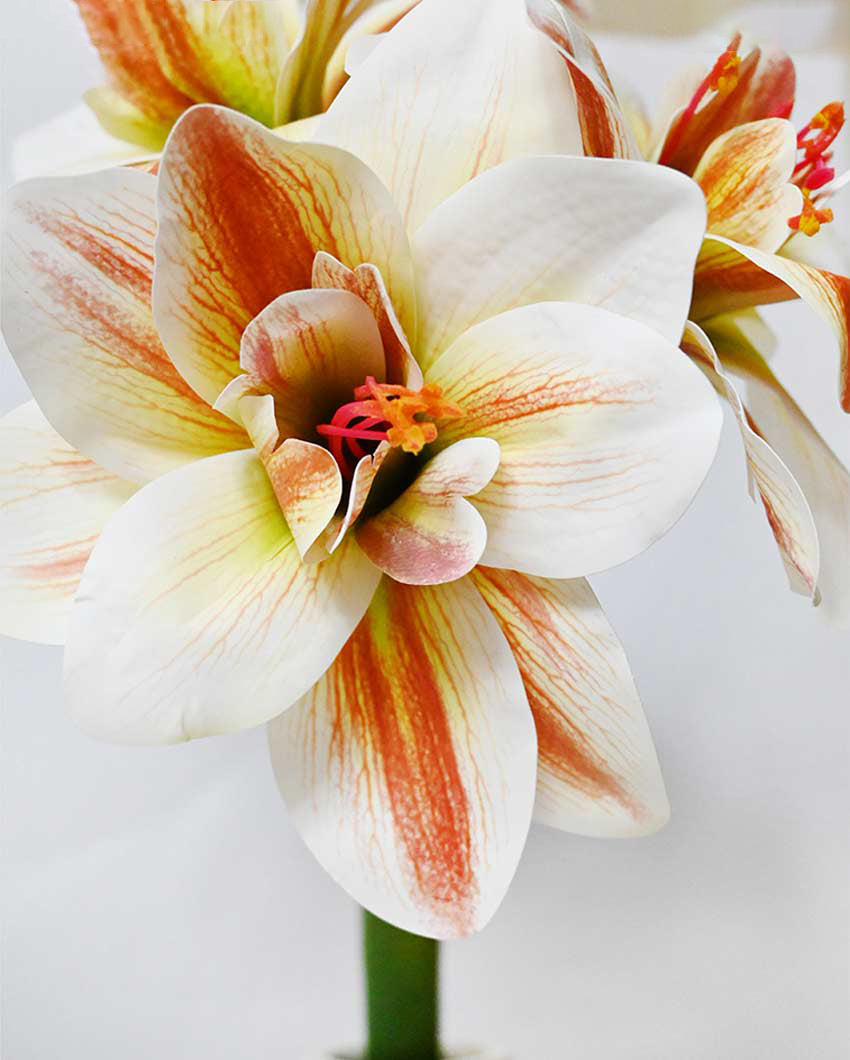 Exotic Artificial Amaryllis Lily Hybrid Bulbs and Realistic Faux Blooms Flower Plant Without Vase | 2 feet