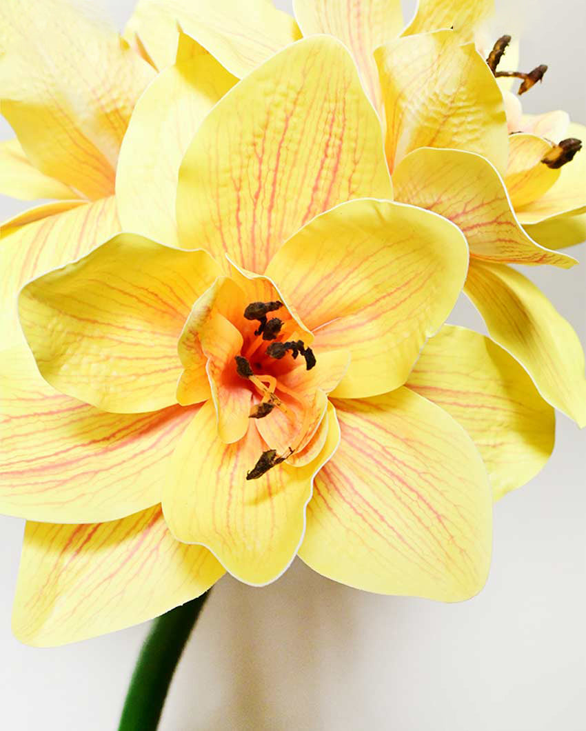 Exotic Artificial Amaryllis Lily Hybrid Bulbs and Realistic Faux Blooms Flower Plant Without Vase | 2 feet