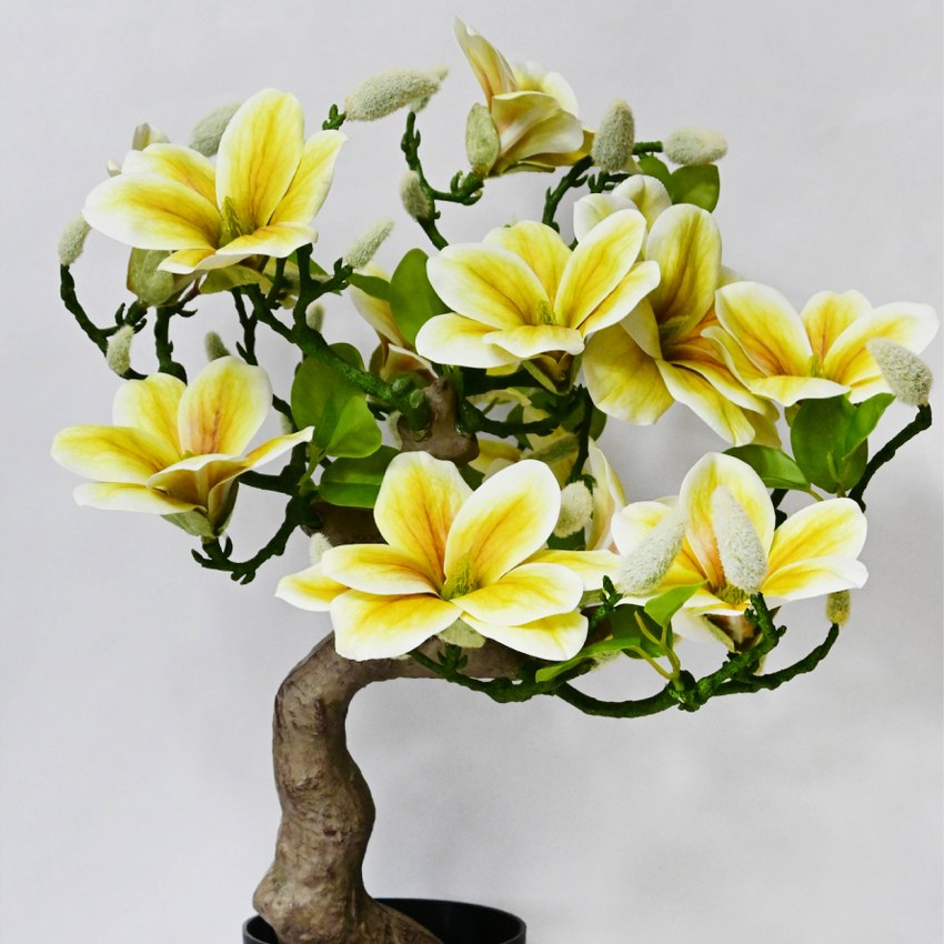 Mini Artificial Spring Blossom Magnolia Tree | 2 feet