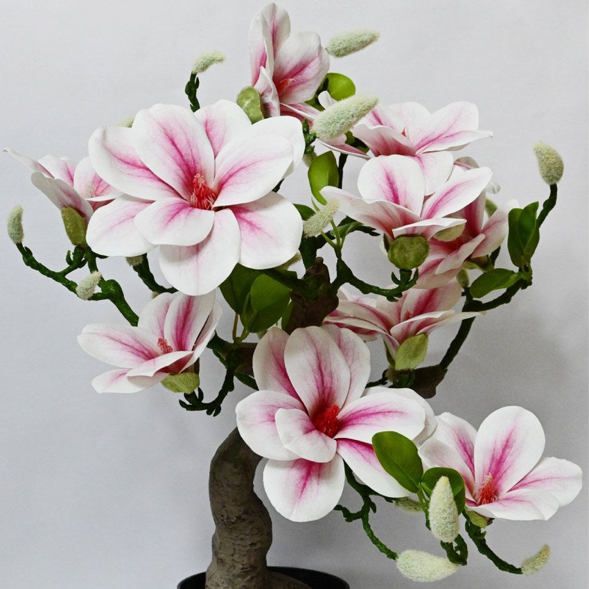 Mini Artificial Spring Blossom Magnolia Tree | 2 feet