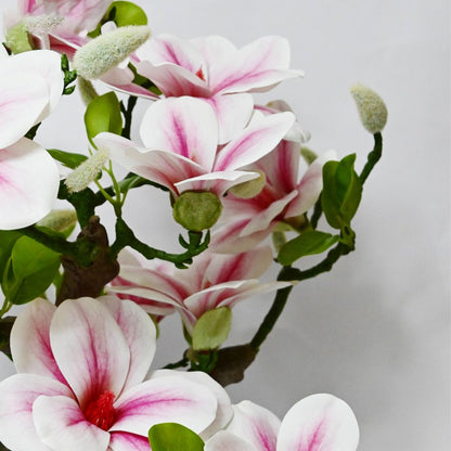 Mini Artificial Spring Blossom Magnolia Tree | 2 feet