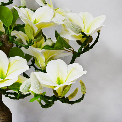 Mini Artificial Spring Blossom Magnolia Tree | 2 Feet