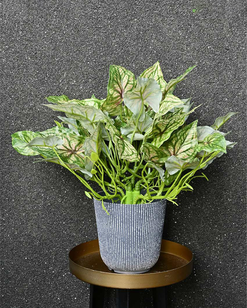 Decorative Artificial Caladium Plant with Basic Pot | 16 inches