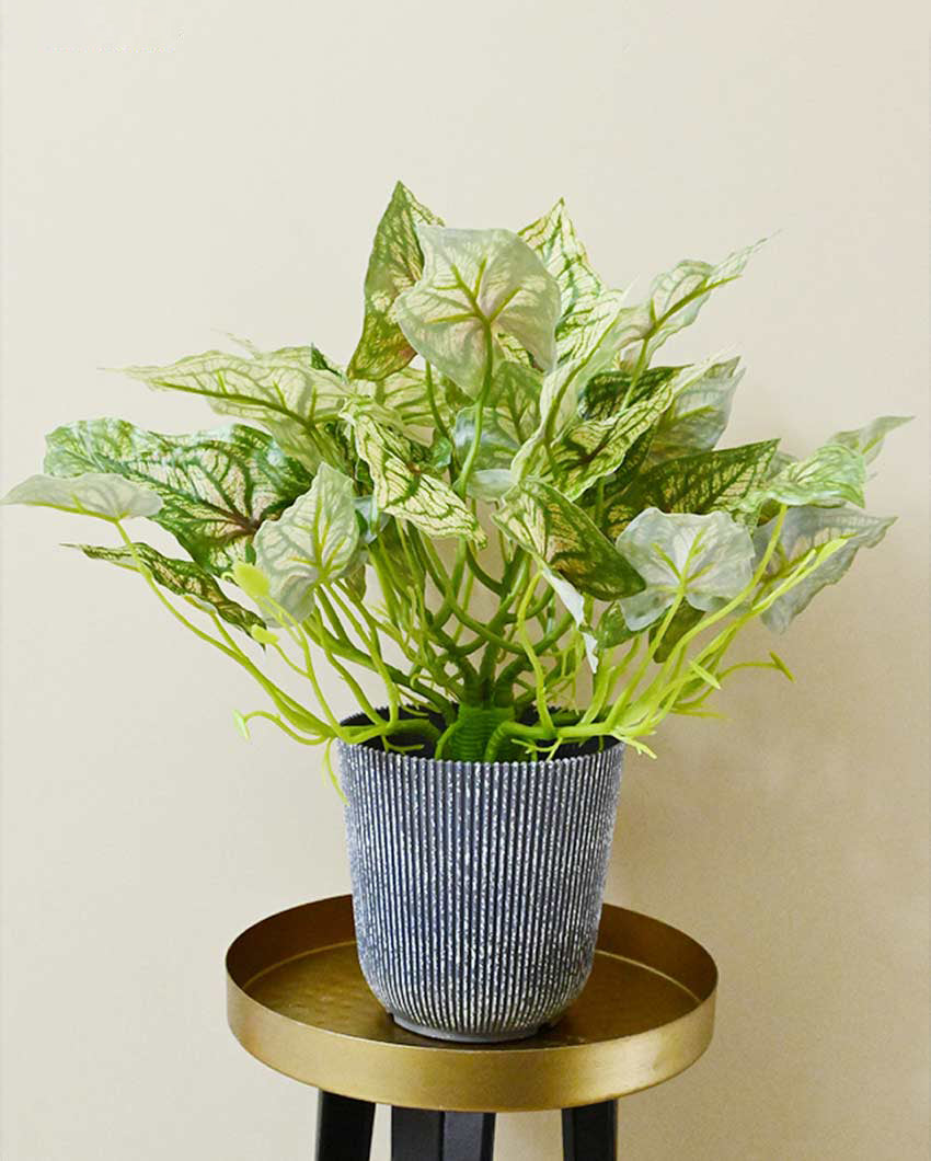 Decorative Artificial Caladium Plant with Basic Pot | 16 inches