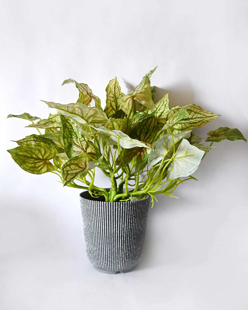 Decorative Artificial Caladium Plant with Basic Pot | 16 inches