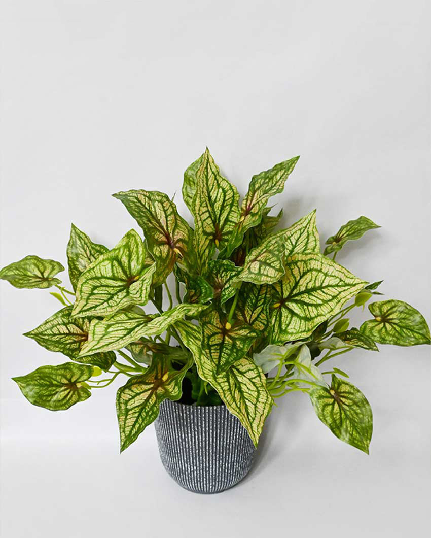 Decorative Artificial Caladium Plant with Basic Pot | 16 inches