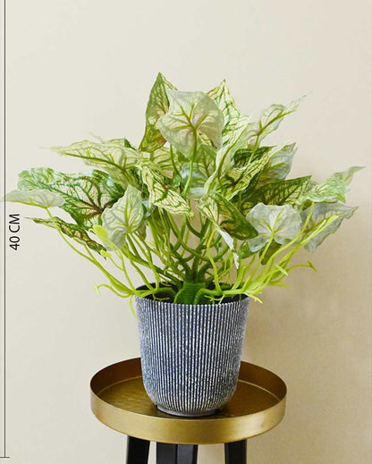 Decorative Artificial Caladium Plant with Basic Pot | 16 inches