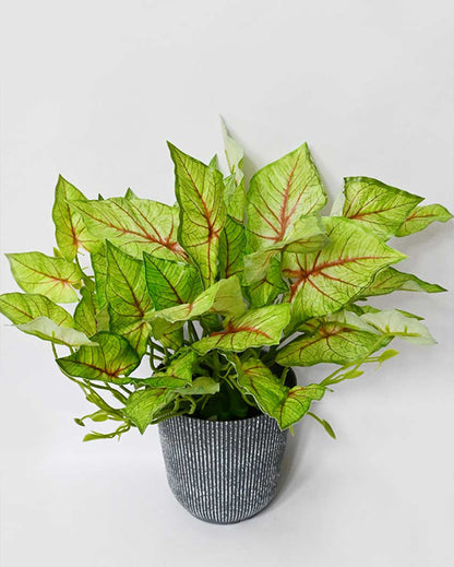 Decorative Artificial Caladium Plant with Basic Pot | 16 inches