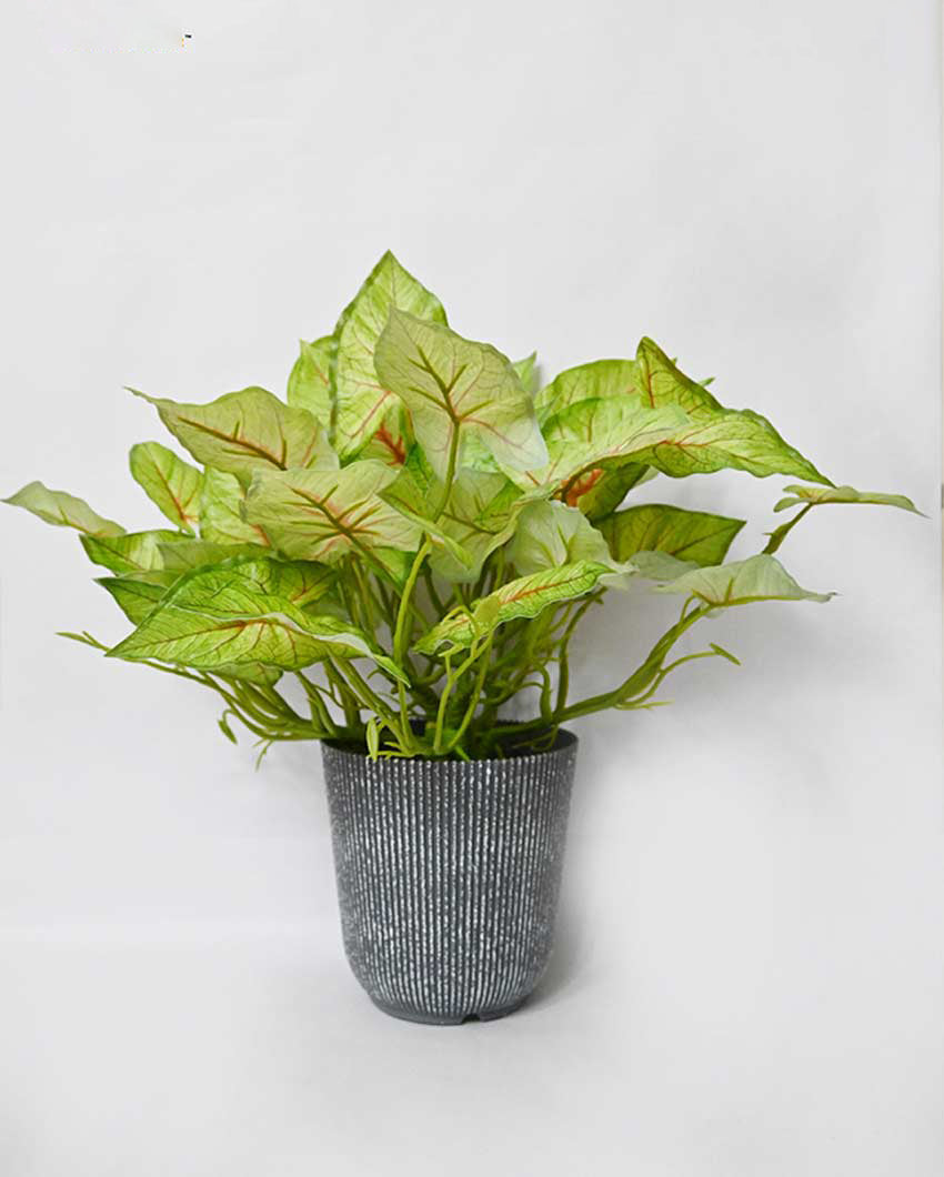 Decorative Artificial Caladium Plant with Basic Pot | 16 inches