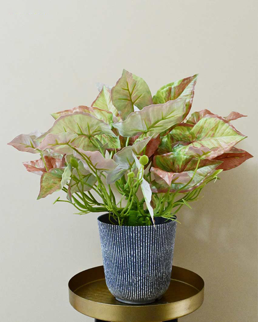 Decorative Artificial Caladium Plant with Basic Pot | 16 inches