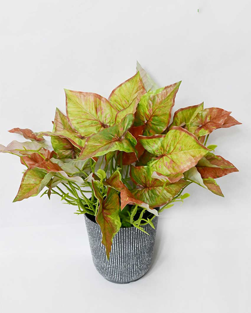 Decorative Artificial Caladium Plant with Basic Pot | 16 inches