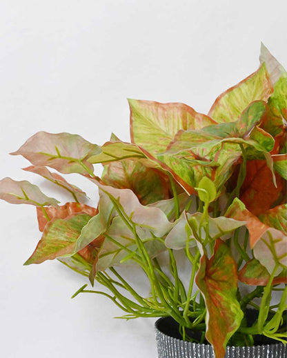 Decorative Artificial Caladium Plant with Basic Pot | 16 inches