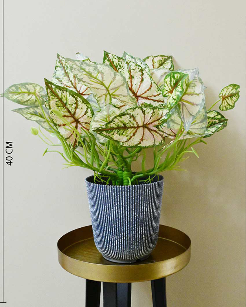 Decorative Artificial Caladium Plant with Basic Pot | 16 inches