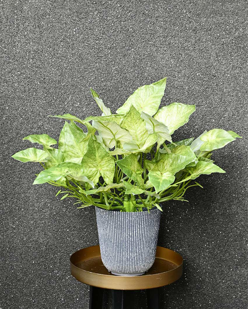 Decorative Artificial Caladium Plant with Basic Pot | 16 inches