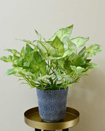 Decorative Artificial Caladium Plant with Basic Pot | 16 inches