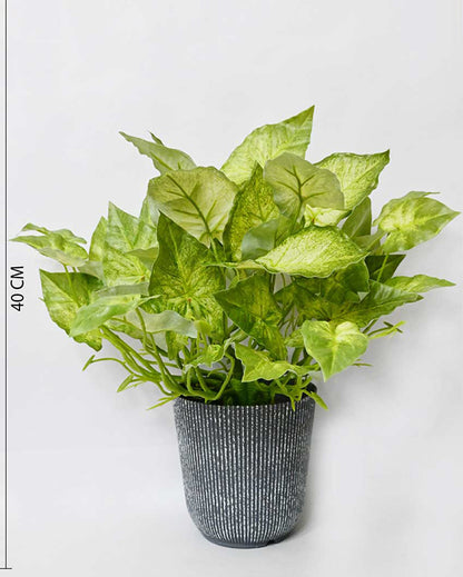 Decorative Artificial Caladium Plant with Basic Pot | 16 inches