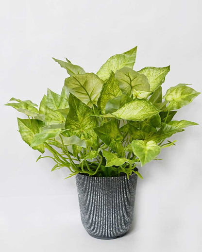 Decorative Artificial Caladium Plant with Basic Pot | 16 inches