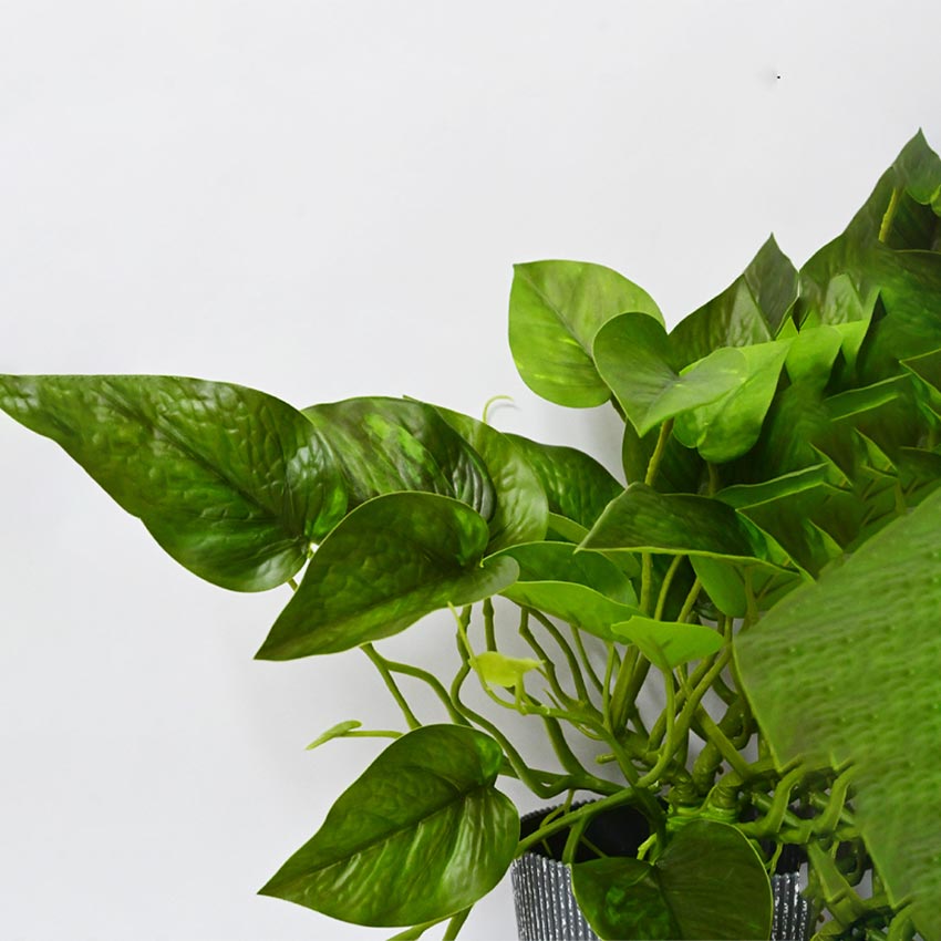 Boho Bliss Large Faux Lush Leaves Pothos Plant Without Pot | 1.25 Feet