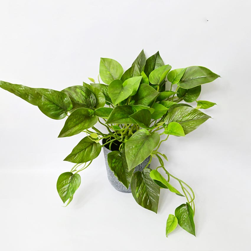 Boho Bliss Large Faux Lush Leaves Pothos Plant Without Pot | 1.25 Feet