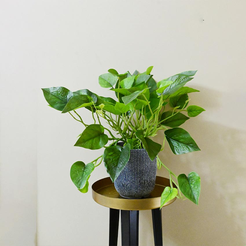 Boho Bliss Large Faux Lush Leaves Pothos Plant Without Pot | 1.25 Feet