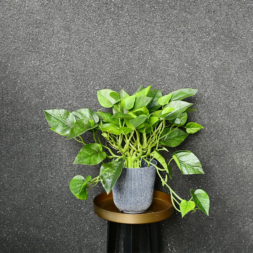 Boho Bliss Large Faux Lush Leaves Pothos Plant Without Pot | 1.25 Feet
