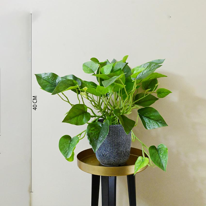 Boho Bliss Large Faux Lush Leaves Pothos Plant Without Pot | 1.25 Feet